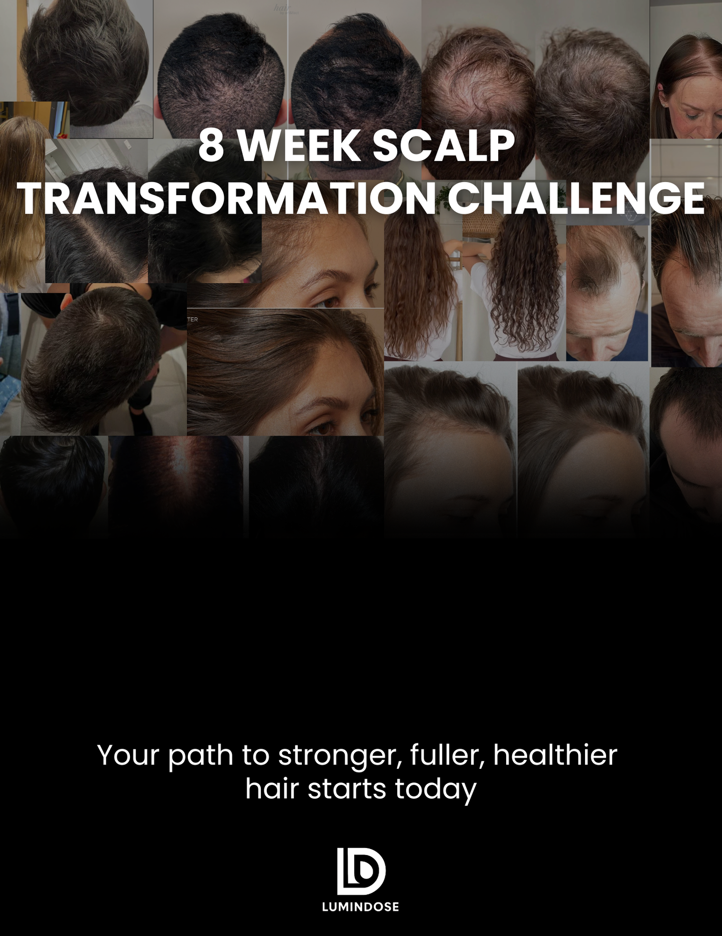 8-Week Hair Transformation Challenge